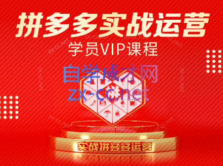 推易电商·拼多多实战运营课(更新2025月)-孔明聊项目