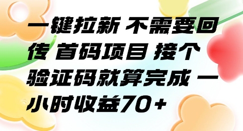 一键拉新 不需要回传 首码项目 接个验证码就算完成 一小时收益70+【揭秘】-孔明聊项目