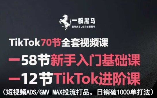 TikTok全套视频课，新手入门+进阶课，短视频ADS-GMV MAX投流打品，日销破1000单打法-孔明聊项目