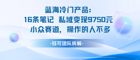 蓝海项目：16条笔记私域变现9750米小众赛道操作的人不多-孔明聊项目