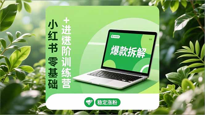小红书零基础+高阶训练营：安全养号、爆款拆解、长效运营，实现稳定涨粉与变现-孔明聊项目